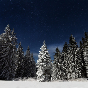 网曝门事件xX视频xX丅Ⅴ一区
