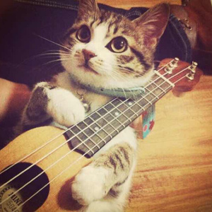 网曝门事件xX视频xX丅Ⅴ一区
